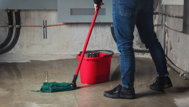Best 24-hour water damage restoration  in Pana, IL