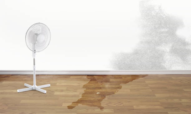 Best Fire Damage Restoration  in Pana, IL