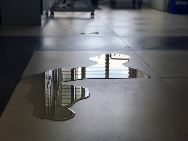 Best Water damage restoration near me  in Pana, IL