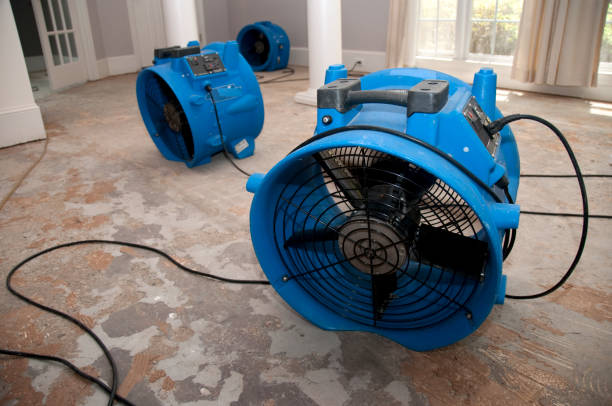 Carpet water damage restoration in Pana, IL