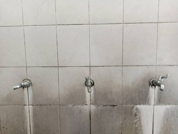 Best Emergency water extraction  in Pana, IL