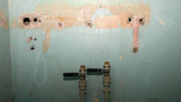 Best Basement water damage restoration  in Pana, IL