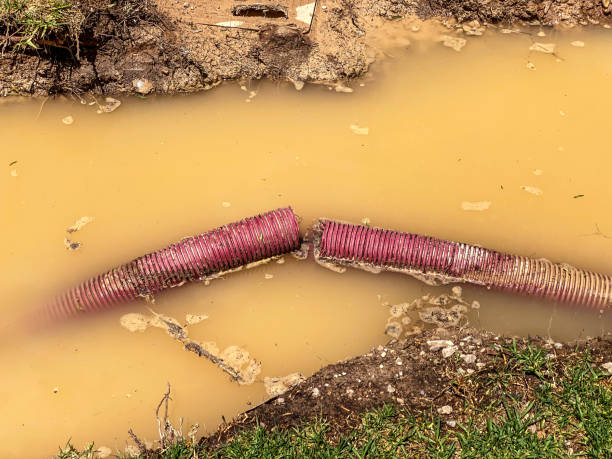 Reliable Pana, IL Water damage restoration Solutions